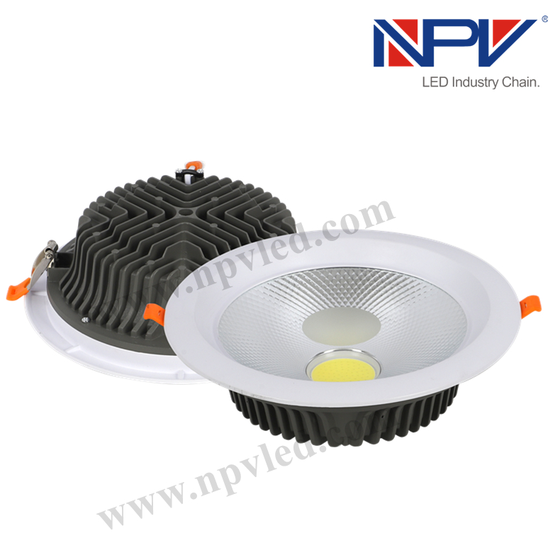 NPV-DL04 LED Down Light
