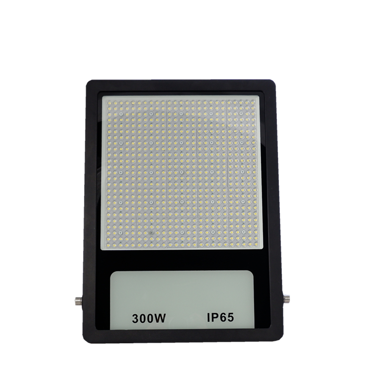 <b>LED FLOOD LIGHT</b>