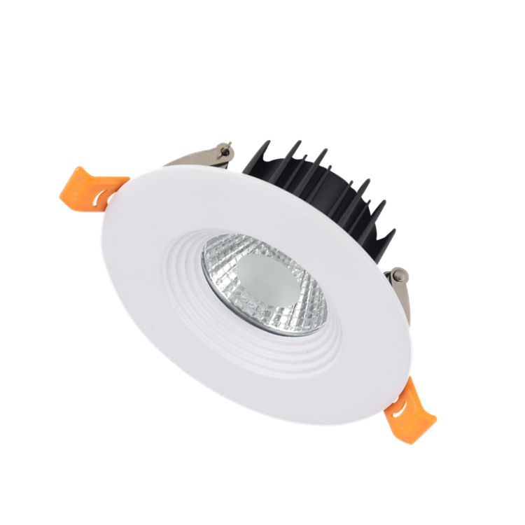 NPV-DL12 LED Down Light